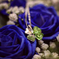 Royal Blue Roses