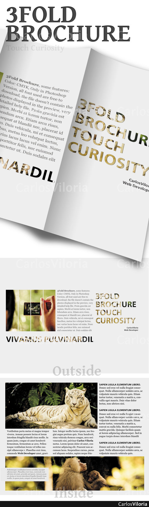 3 Fold Brochure