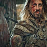 Wasteland Viking