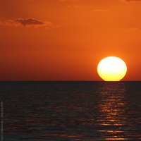 Caribbean sun and sea