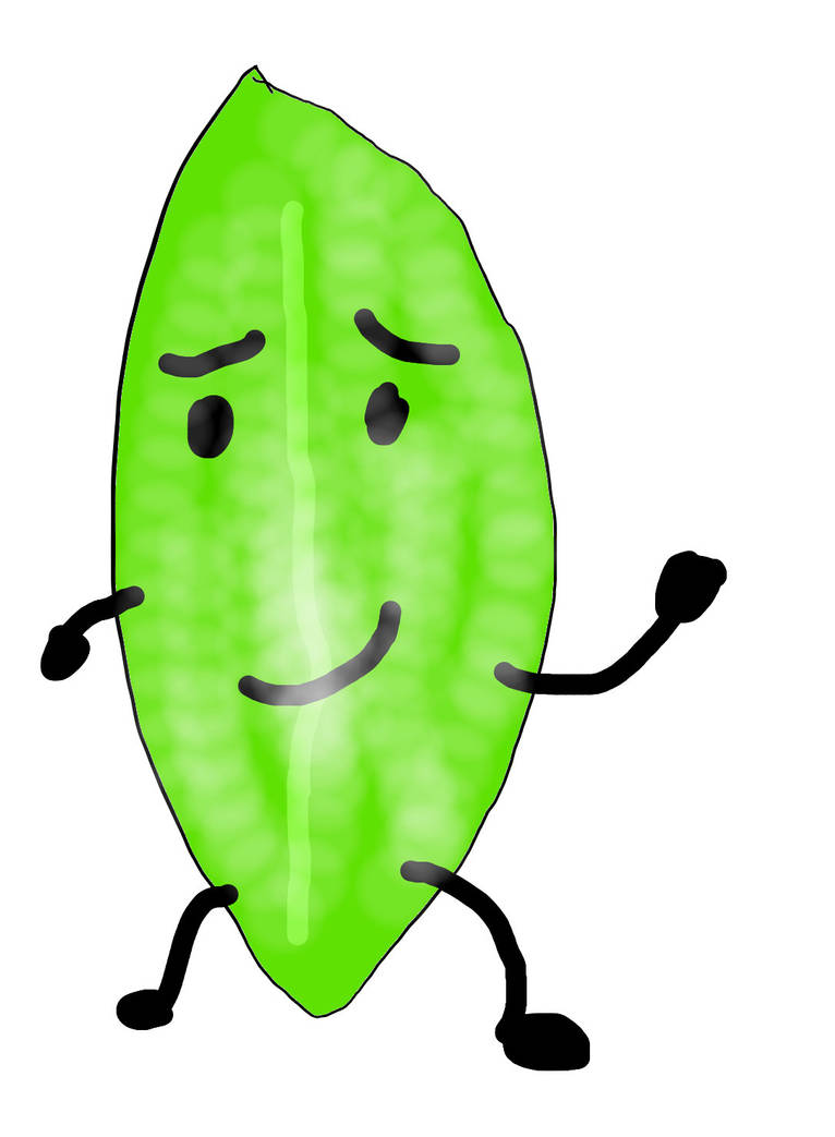 My drawing of leafy from bfb by ZackGodzillafan2008 on DeviantArt