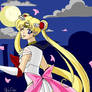 + sailor moon +