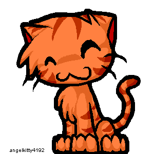 orange kitty