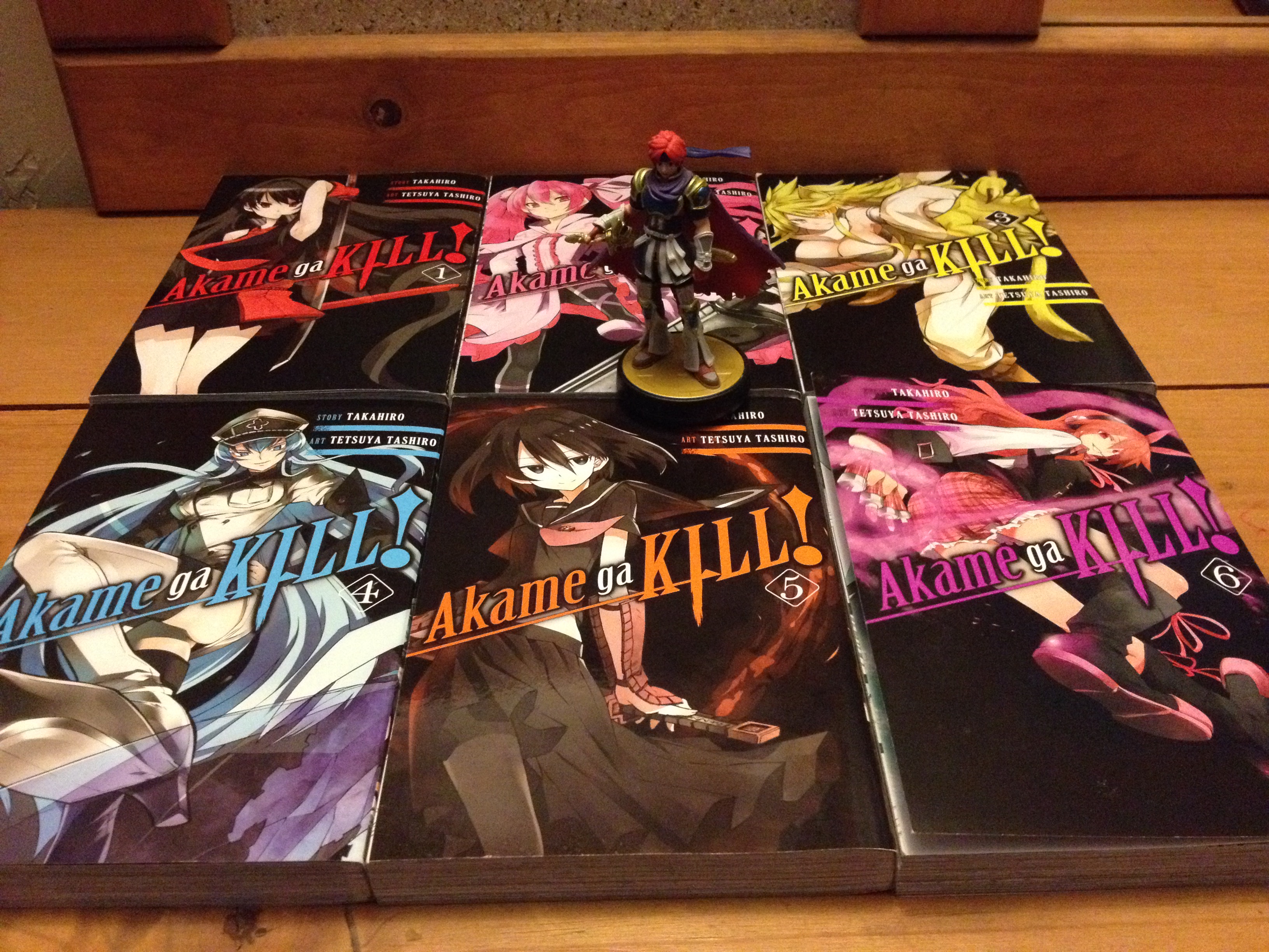 Akame ga KILL!, Vol. 6 (Paperback)