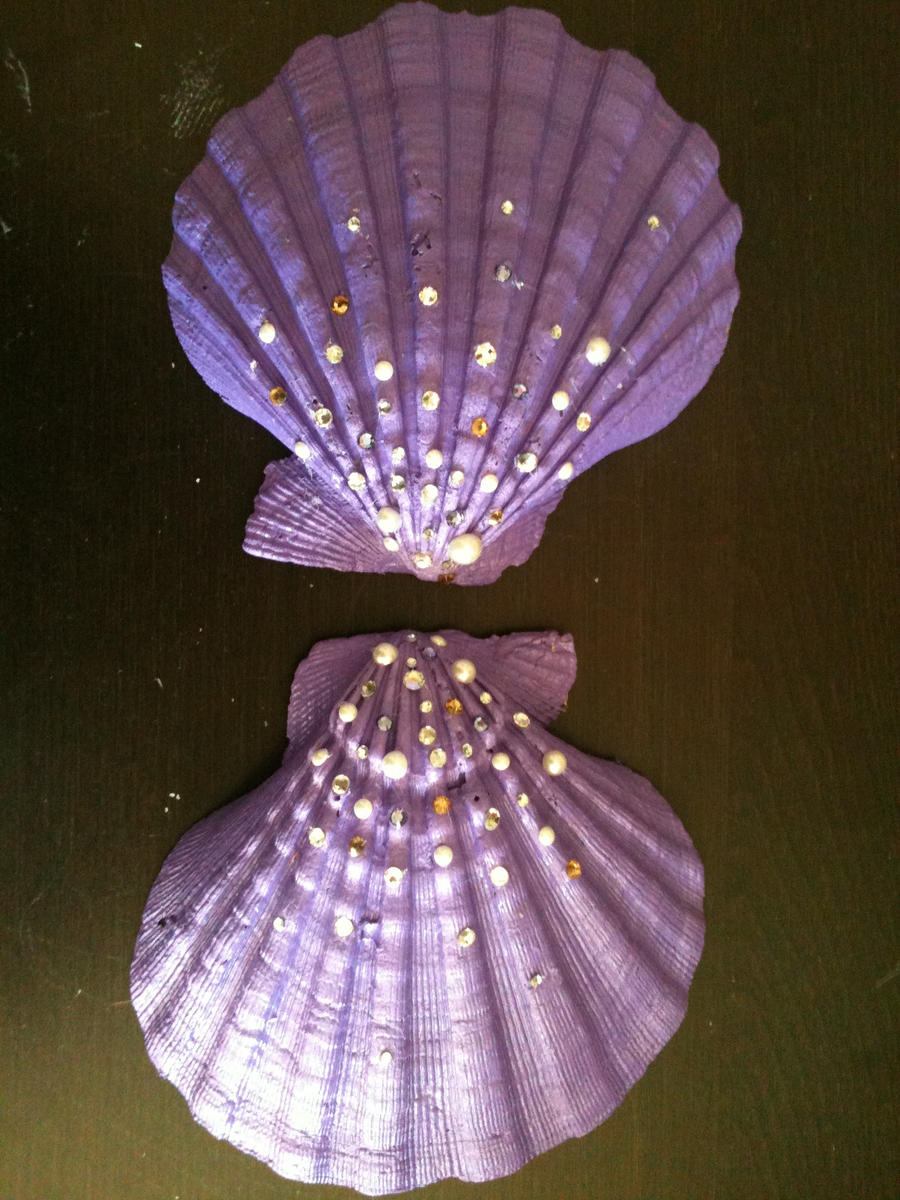 Marmaid Shell Mermaid Shells by SaraStefie on DeviantArt