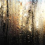 Condensation water Texture