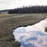 BWCA Wetland Panorama II