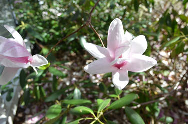 fuqueue - Hobbyist, Photographer | DeviantArt