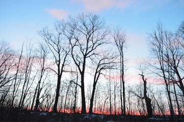 fuqueue - Hobbyist, Photographer | DeviantArt