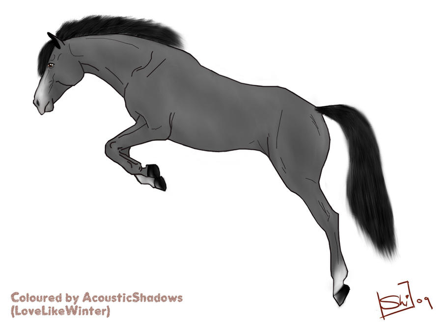 Deviantart Animal Jumping Coloured Jump by AcousticShadows on DeviantArt