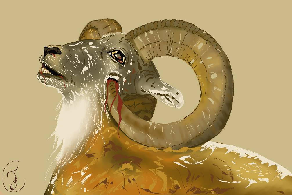 Deviantart Goatse goat by southdraws on DeviantArt