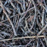 Texture - Sticks