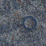 Texture -Dirt 1