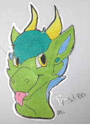 Tristen (Request! Read description!!)