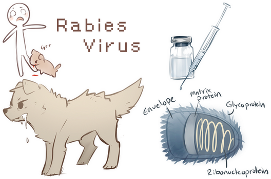Explore the Best Rabies Art | DeviantArt