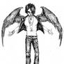 Criss Angel-Dark Angel