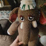 Tusky's Hat