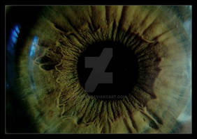 eye xx macro