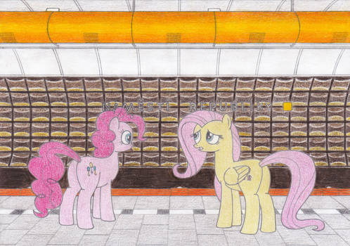 Pinkie Pie and Fluttershy at Namesti Republiky