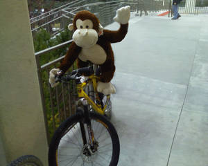 Gorilla Bicycle after