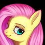 fluttershy