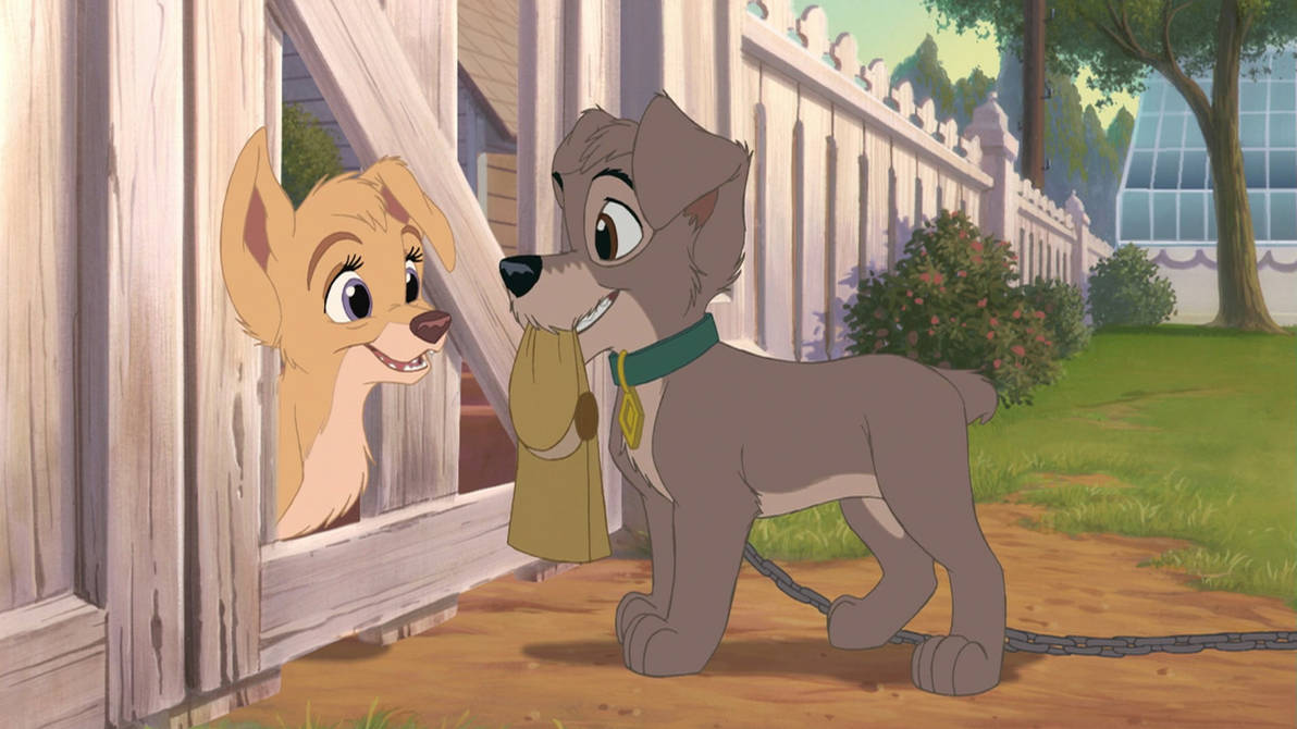 Meeting Scamp! by AngelThePomeranian on DeviantArt