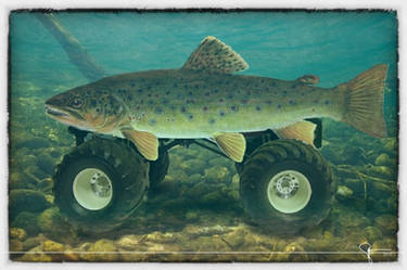 MonsterTrout