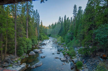 Awesome View of a river