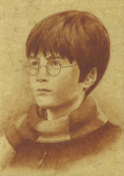 Harry Potter First Year
