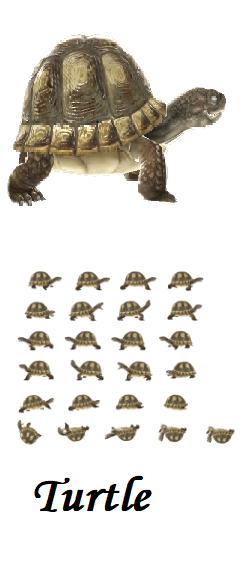 Turtle 2D sprite sheets by ssjayasena on DeviantArt