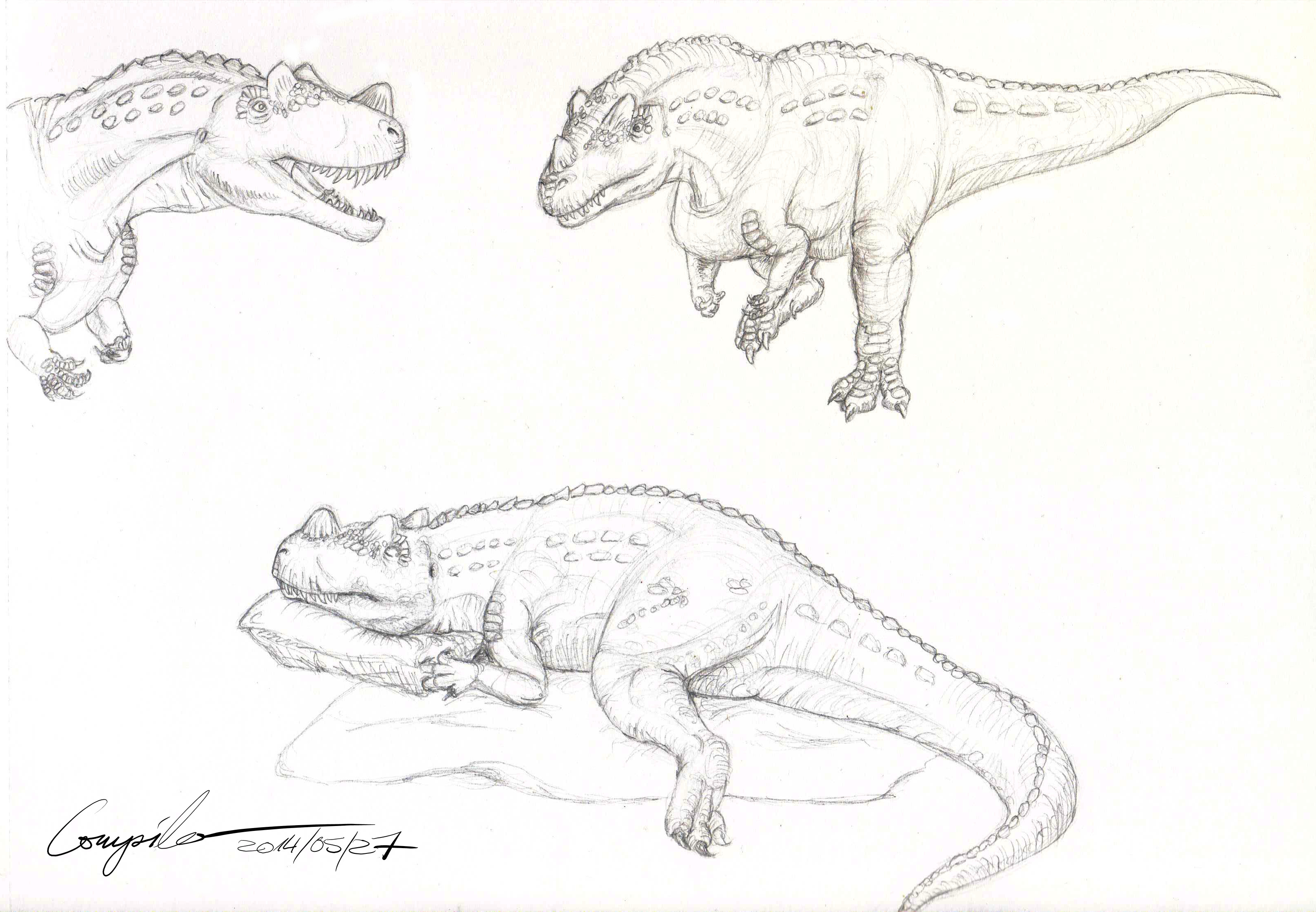 Ceratosaurus sketch - 20140527