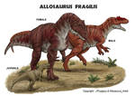 LTL Allosaurus - 20140619