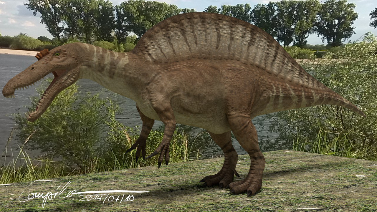 Spinosaurus aegyptiacus - 20140710