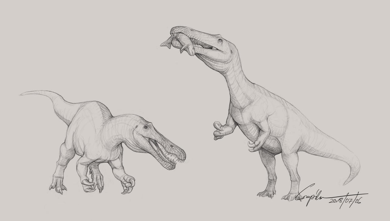 Baryonyx sketches