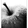 Apple Black and White