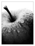 Apple Black and White by The-Definition