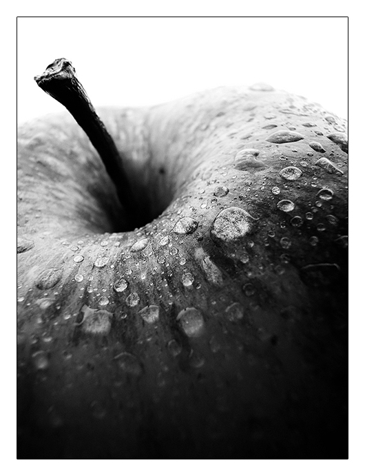 Apple Black and White