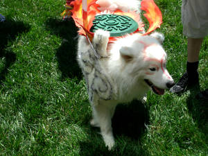 Okami outside Otakon 2011