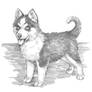 How to draw a husky dog with the pencil