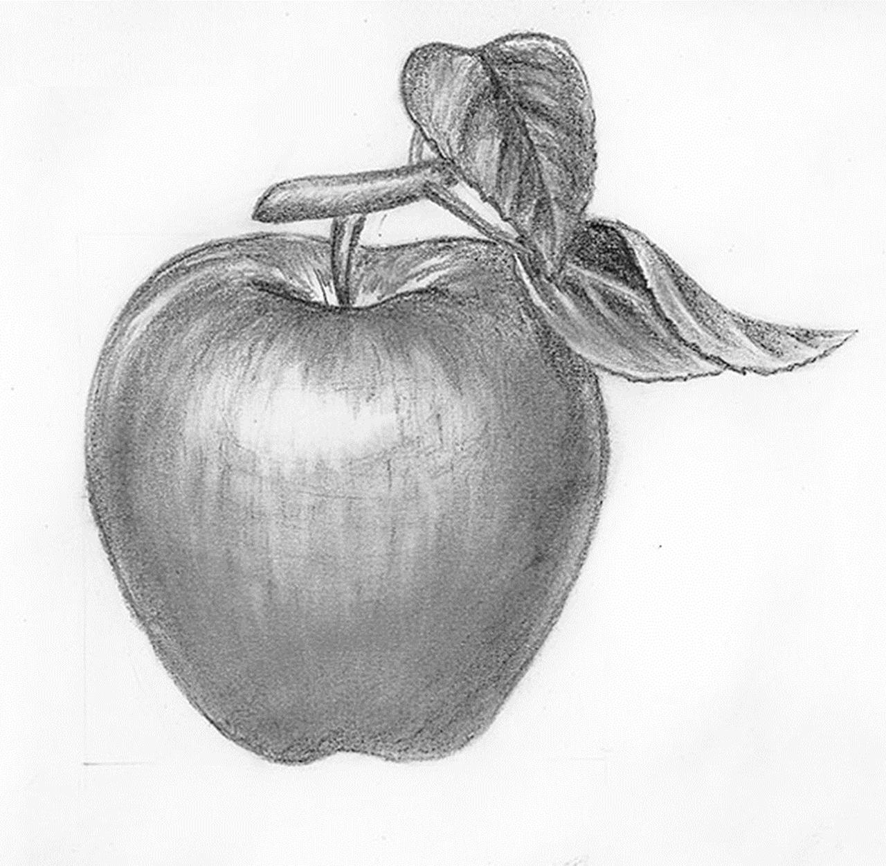 How to draw an apple with a pencil step-by-step by ImagiDraw on DeviantArt