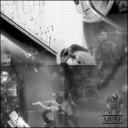 Muse Banner