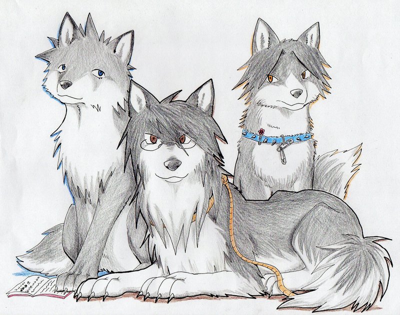 SZS wolves: Kudou, Nozo, Kino