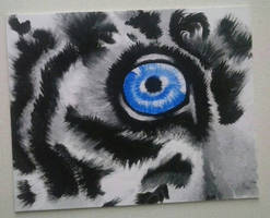 Cobalt Eye