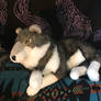 Cascade Toys Large Wolf Plush