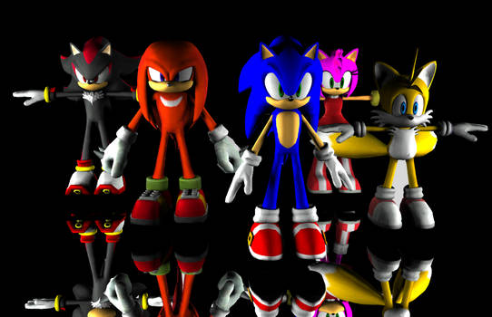 The Cast of Sonic Characters