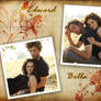 Edward and Bella wall2