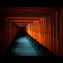 Torii at Fushimi Inari Shrine