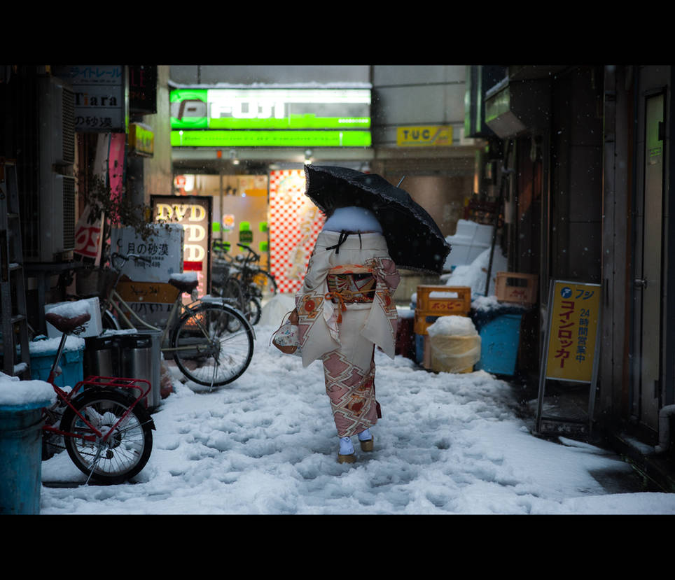 S E I J I N S H I K I by burningmonk S E I J I N S H I K I by burningmonk