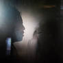 Shadows