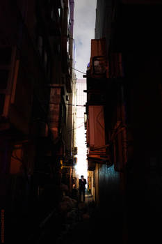 Man in the Darkness
